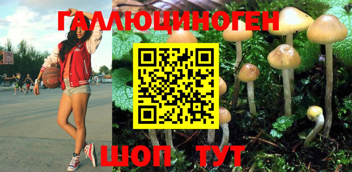 Псилоцибиновые грибы Psilocybine cubensis Новодвинск