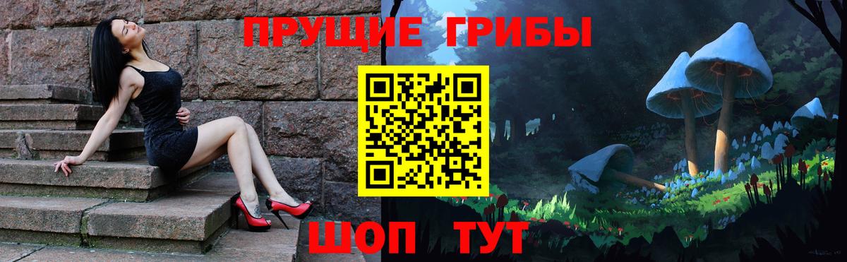 Псилоцибиновые грибы GOLDEN TEACHER  цены   Новодвинск  Псилоцибиновые грибы Cubensis  Вход с VPN 